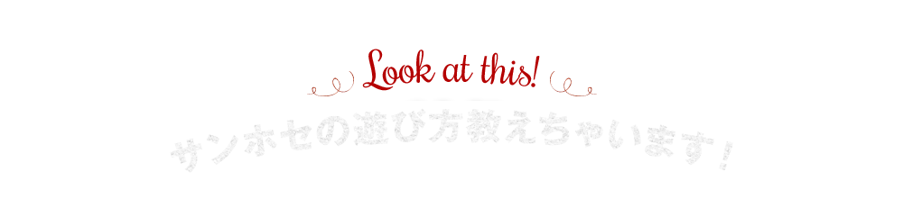 サンホセの遊び方教えます